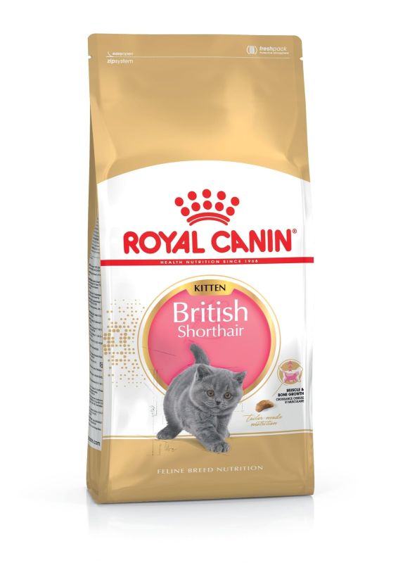 Royal Canin British Shorthair Kitten сухой корм для котят породы британская короткошерстная